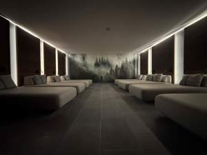 Chalet Hotel Le Collet, Hautes Vosges, Spa