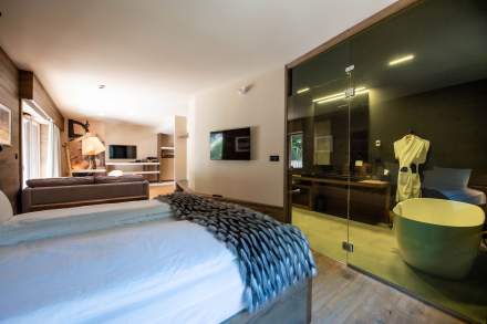 Chalet Hotel Le Collet, Haute Vosges, Junior Suite